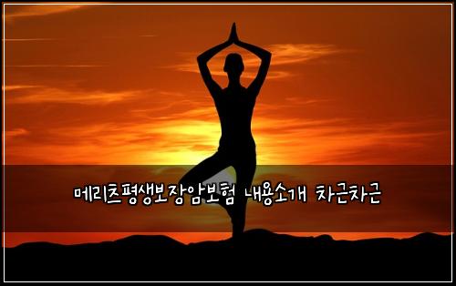 메리츠평생보장암보험 내용소개  차근차근