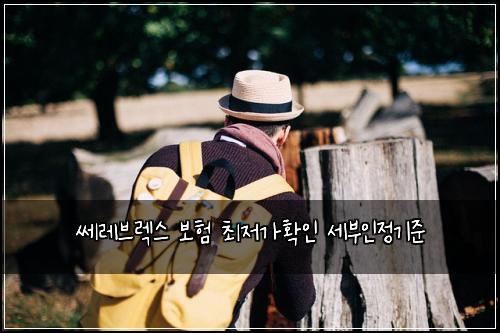 쎄레브렉스 보험 최저가확인  세부인정기준