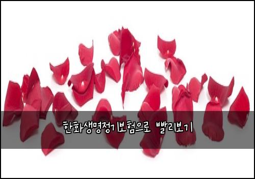 한화생명정기보험으로 빨리보기