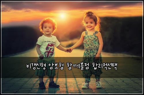 비갱신형 암보험 함께볼점  합리적선택