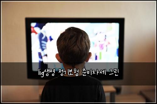 lig생명 정기보험 준비자세  그린