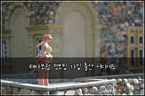 태아보험 정보팁  가입 출산 어디에도