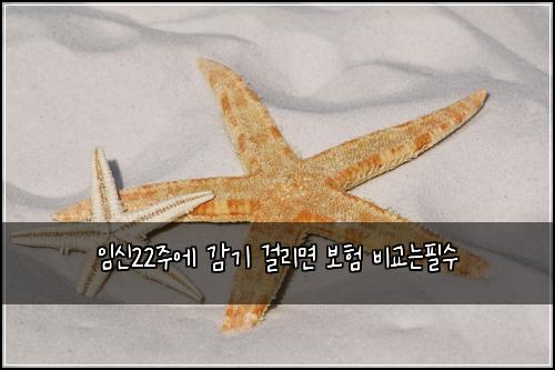 임신22주에 감기 걸리면 보험 비교는필수 