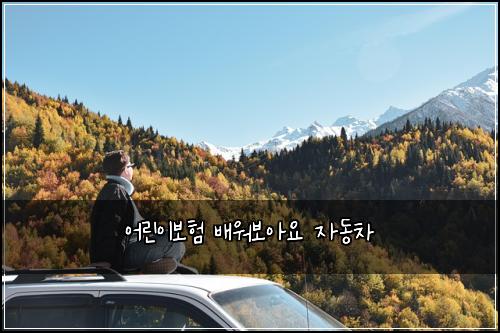 어린이보험 배워보아요  자동차