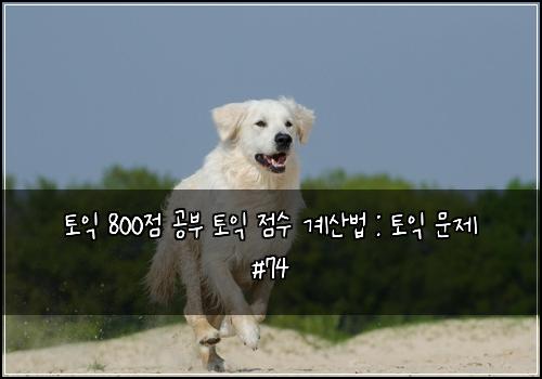 토익 800점 공부 토익 점수 계산법 : 토익 문제 #74