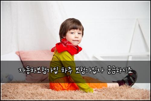 μλ차보νκ°μ
μ°¨μ£Ό 보νκ°μ
μ κΆκΈνμμ£