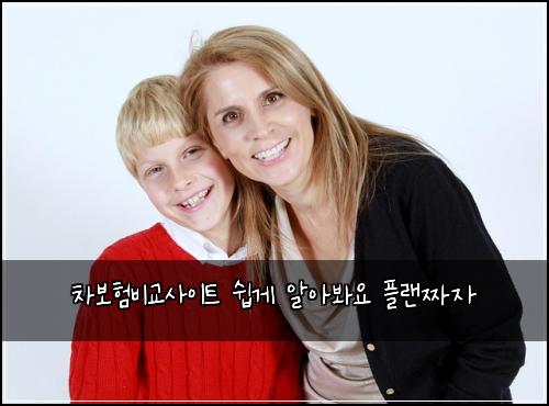 차보험비교사이트 쉽게 알아봐요 플랜짜자