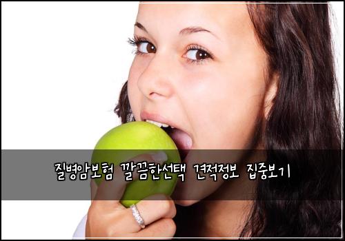 질병암보험 깔끔한선택  견적정보 집중보기