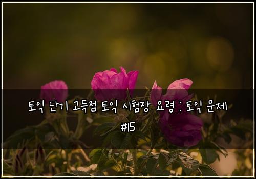 토익 단기 고득점 토익 시험장 요령 : 토익 문제 #15