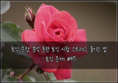 토익 문장 분석 훈련 토익 시험 스트레스 줄이는 법 : 토익 문제 #47
