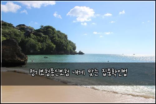 정기보험종신보험 내게 맞는 집중확인법