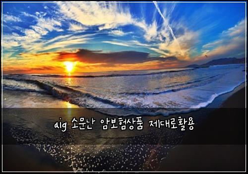 aig 소문난 암보험상품 제대로활용