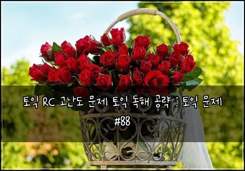 토익 RC 고난도 문제 토익 독해 공략 : 토익 문제 #88