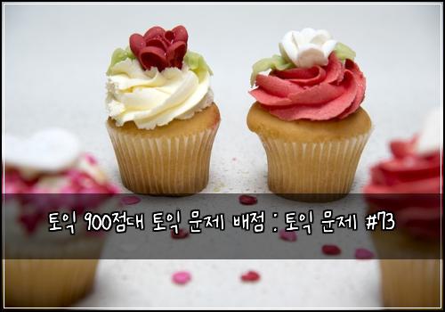 토익 900점대 토익 문제 배점 : 토익 문제 #73
