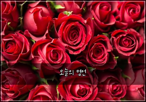 오늘의 명언