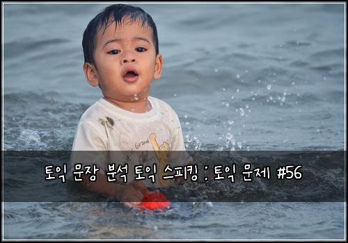 토익 문장 분석 토익 스피킹 : 토익 문제 #56