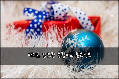 매리츠 암보험 종합비교  필요정보