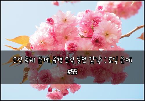토익 독해 문제 유형 토익 실전 감각 : 토익 문제 #55