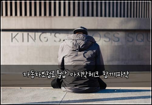 자동차보험료월납 마지막체크 함께파악
