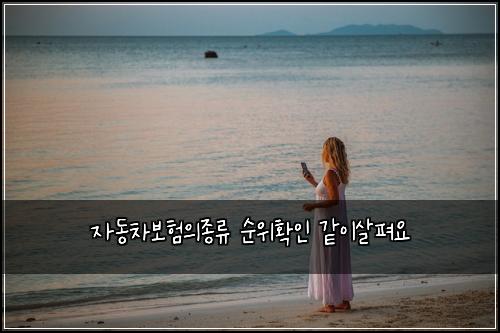 ์๋์ฐจ๋ณดํ์์ข
๋ฅ ์์ํ์ธ ๊ฐ์ด์ดํด์