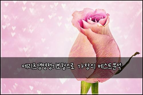 ๋ฉ๋ฆฌ์ธ ์๋ช
์ ๊ธฐ๋ณดํ์ผ๋ก ๊ฐ์ฅ์ ๋ฒ ์คํธ๋ถ์