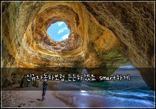 신규자동차보험 든든하겠죠  smart하게