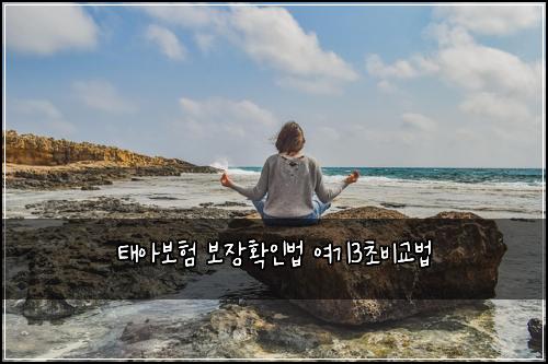 태아보험 보장확인법  여기3초비교법