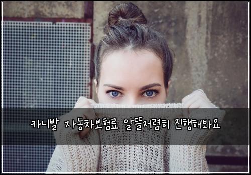 카니발 자동차보험료 알뜰저렴히 진행해봐요