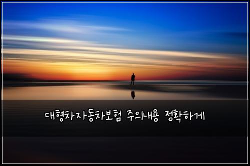 대형차자동차보험 주의내용  정확하게