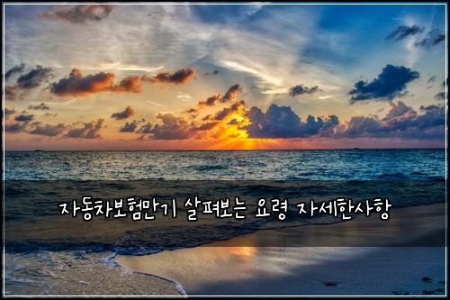자동차보험만기 살펴보는 요령 자세한사항