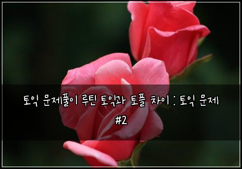 토익 문제풀이 루틴 토익과 토플 차이 : 토익 문제 #2
