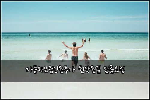 자동차보험인원추가 원샷원킬 맞춤요령