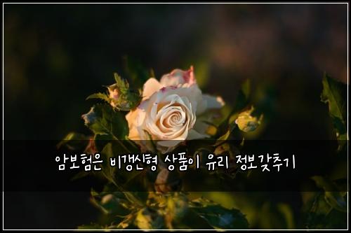 ์๋ณดํ์ ๋น๊ฐฑ์ ํ ์ํ์ด ์ ๋ฆฌ ์ ๋ณด๊ฐ์ถ๊ธฐ