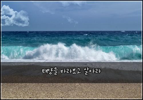 태양을 바라보고 살아라