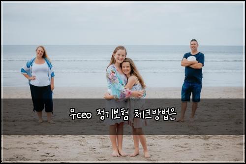 무ceo 정기보험 체크방법은 
