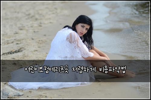 ์ด๋ฆฐ์ด๋ณดํ๋ฉ๋ฆฌ์ธ ๊ณณ ์ ๋ ดํ๊ฒ ๋น์ฉํ์
๋ฒ