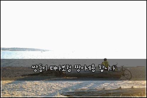 쌍둥이 태아보험 짱이네용  합니다