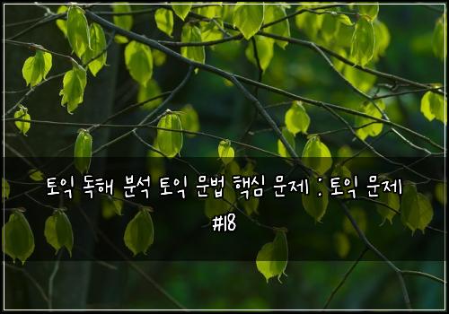 토익 독해 분석 토익 문법 핵심 문제 : 토익 문제 #18