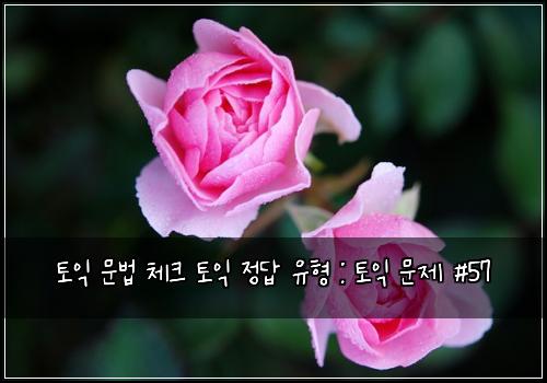 토익 문법 체크 토익 정답 유형 : 토익 문제 #57