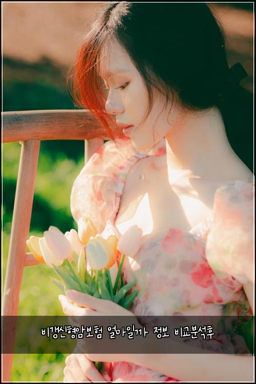 ๋น๊ฐฑ์ ํ์๋ณดํ ์ผ๋ง์ผ๊น ์ ๋ณด ๋น๊ต๋ถ์ํ