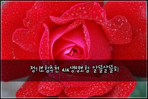 ์ ๊ธฐ๋ณดํ์ถ์ฒ aia์๋ช
๋ณดํ ์๋ฐ์ด๋ฐํ
