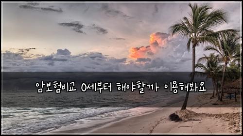 암보험비교 0세부터 해야할까 이용해봐요
