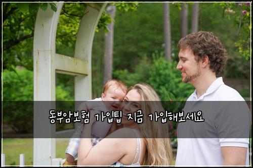 동부암보험 가입팁  지금 가입해보세요