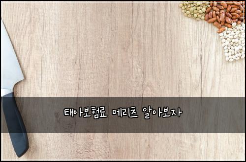 태아보험료 메리츠 알아보자