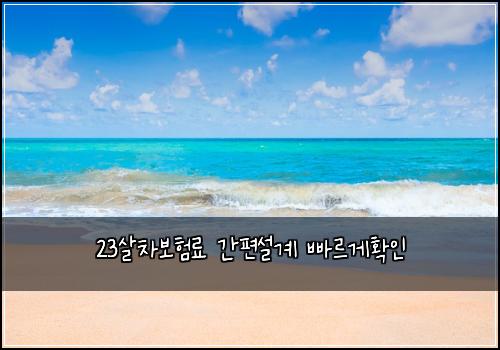 23살차보험료 간편설계 빠르게확인