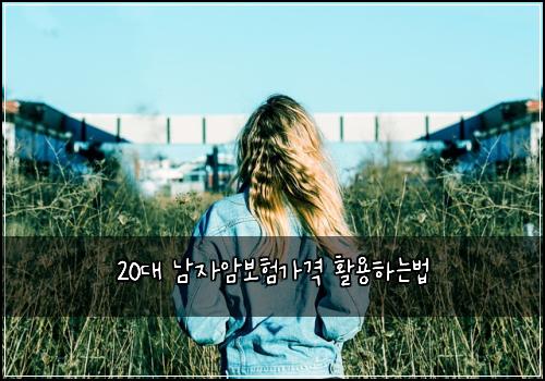 20대 남자암보험가격 활용하는법