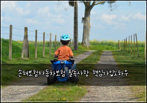 손해보험자동차보험 필독사항 핵심가입노하우