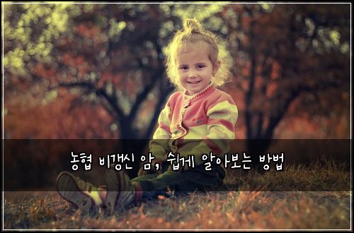  농협 비갱신 암, 쉽게 알아보는 방법
