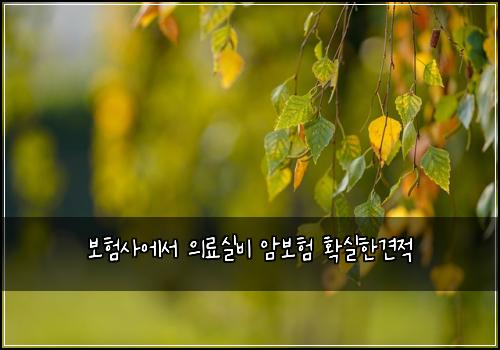 보험사에서 의료실비 암보험 확실한견적
