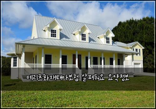 메리츠화재태아보험 살펴둬요  요약정보